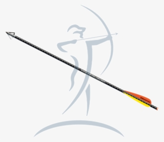 Easton Full Metal Jacket Fmj Crossbow Bolt - Crossbow #6230622