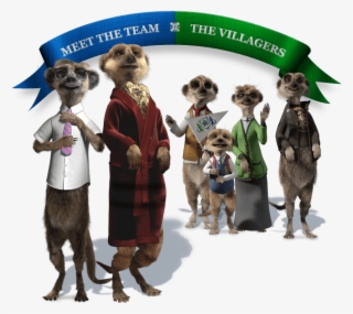 Compare The Meerkat Names - Compare The Meerkat #6231290