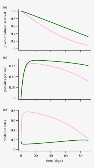 Predicted Survival Of Pink Salmon (light Line - Pink Salmon #6231648