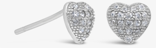 Earrings #6232173