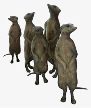 Meerkat Png #6232398