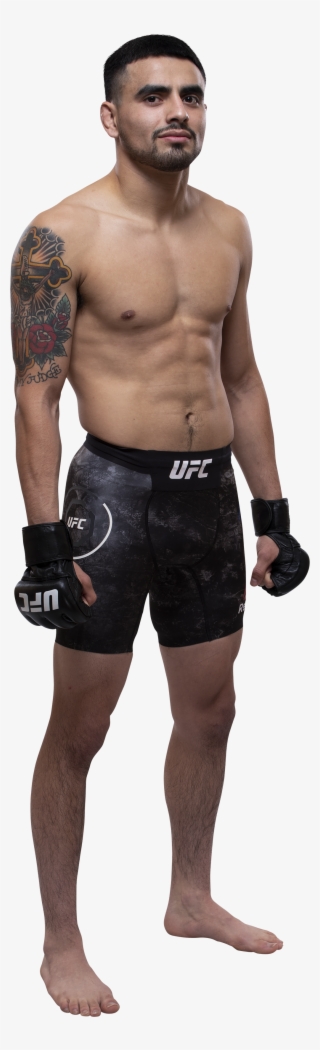 Ultimate Fighting Championship #6232745