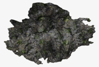 24 Mar 2009 #6233493