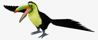 Keel-billed Toucan - Keel Billed Toucan Png #6235735