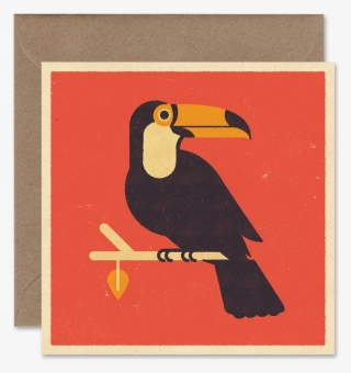 Toucan V=1494511377 - Toucan #6235903