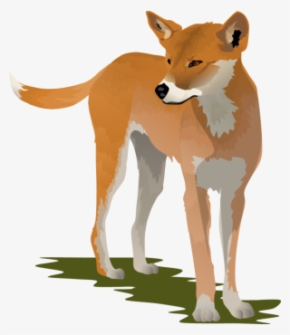 Image Transparent Download Dingo Lineart By Anti - Drawing Of A Dingo