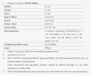 Preparation Of Mops Broth, Agar And Semi-solid Lb Medium - Document #6237474