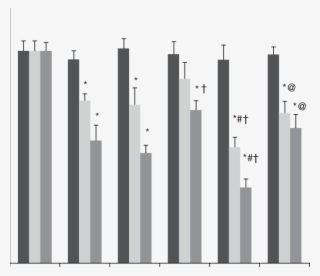 Effect Of Hiv-1 Tat Proteins And/or Cocaine On Bbb - Culture #6238381