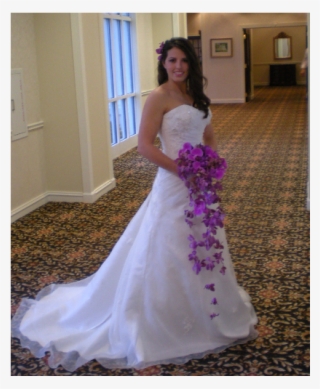 Cascading And Floating Purple Orch #6238847