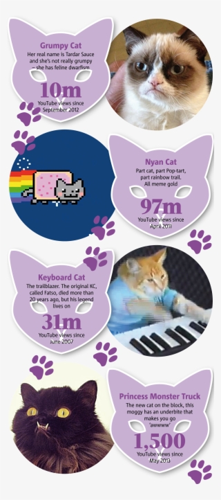 Keyboard Cat Meme - Trends International Grumpy Cat Fun Wall Poster 22.375" #6239522 Keyboard Cat Meme - Trends International Grumpy Cat Fun Wall Poster 22.375" #6239522