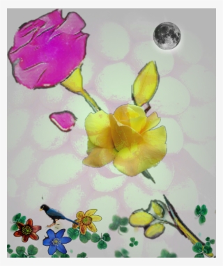 Garden Roses #6243194