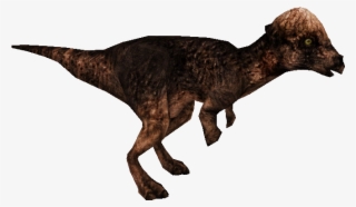 Pachycephalosaurus - Lesothosaurus #6243507