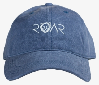 Roar Dad Hat - Hat #6252177