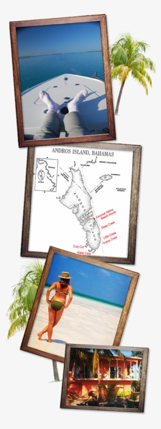 Professional Guides Will Wisk You Away For Ultimate - New York #6254374