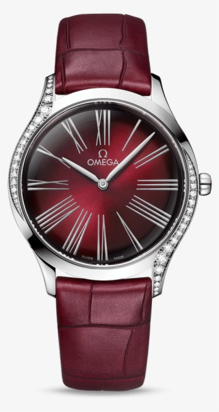 Trésor Quartz 36 Mm - 428.18 36.60 11.001 #6256171
