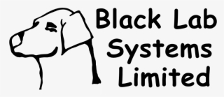 Creative Industrial Technology Solutions - Daphnia Circulatory System #6258141