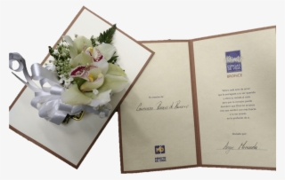 Imagen42 - Minuto De Dios #6258277