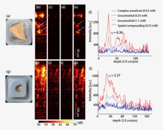In Vitro Ws Oct Images Of The Chicken Breast And Mouse - Portable Network Graphics #6258694