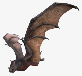 Hesperornis #6258887