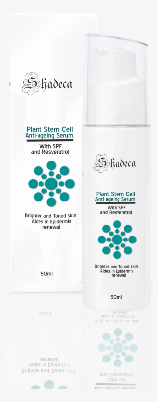 Plant Stem Cell #6259607