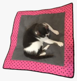 Border Style - Polka Dot #6260437