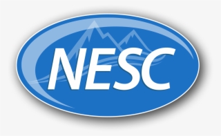 Logo Waves - National Executive Service Corps Of South Florida #6260545