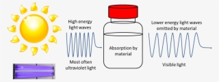 Fluorescence Diagram - Fun In The Sun #6260661