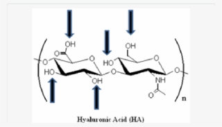 Spatial Structure Of Hyaluronic Acid - Hyaluronan #6260921