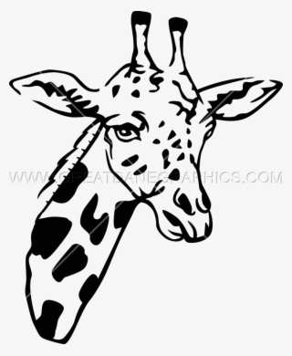 Clip Black And White Download Line Drawing At Getdrawings #6262863