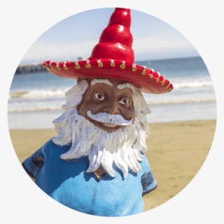 The Most Interesting Gnome In The World #6263902