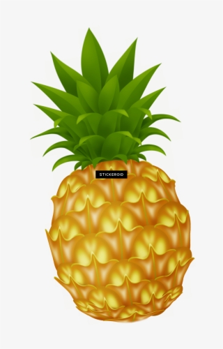 Pineapple Fruit #6264133