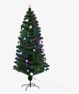 Christmas Tree Branches Png #6265055
