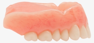 Dentures #6266309