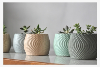 Succulent Planters - Clay #6267333