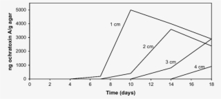 Ochratoxin A Accumulation By A #6271285