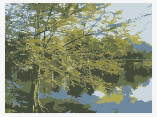 Reflection #6272735
