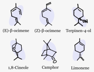There's Nothing “minor” About These Compounds When - E )- Β Ocimene #6273163