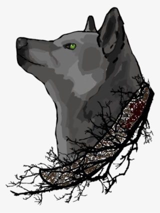 Katara S Oc By Puresavagee-dbagiw6 - Black Norwegian Elkhound #6273426