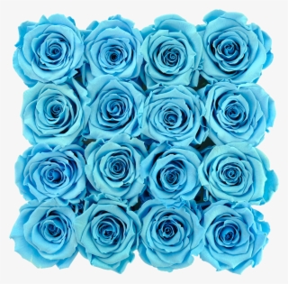 Blue Preserved Roses - Blue Rose #6273764