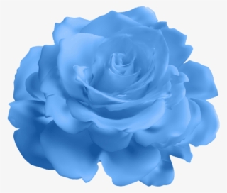 Blue Rose Transparent Png #6273828