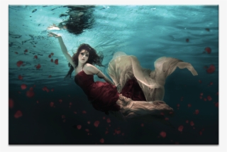 Ocean Of Roses #6274245