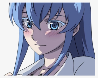 Lien Direct, 2018/02/1/1515403092 Esdeath Amoureuse - Akame Ga Kill! #6274514