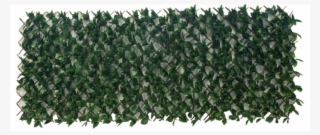 100x200cm Artificial Unreal Plant Walls- Fern - Portable Network Graphics #6275396