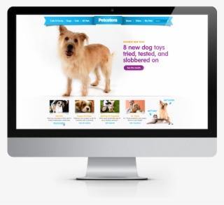 Pets Home 01 - Auto Service #6275652