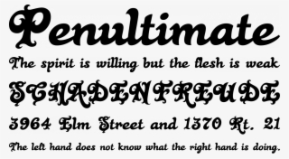 Black Rose Font Phrases - Black Rose Font #6276868