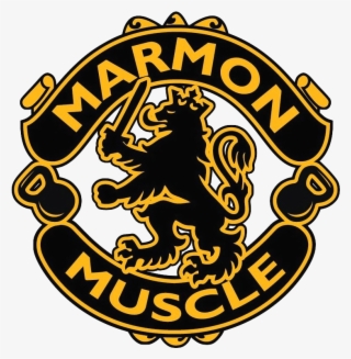 Manchester United Official Football Gift Car Window #6278540