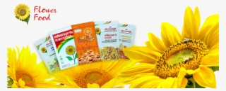 Flower Food Thailand #6280257