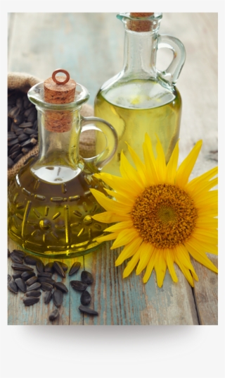 08refined Sunflower Oil - Sunflower Oil #6280371