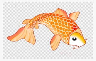 Koi Fish Drawing Orange Clipart Koi Goldfish Drawing - Wrigley Field #6282737
