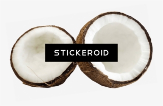 Coconut - Cocos Nucifera #6285095